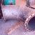rubber -  koelwaterbuis - erosie - onderfilm corrosie - voor ARC